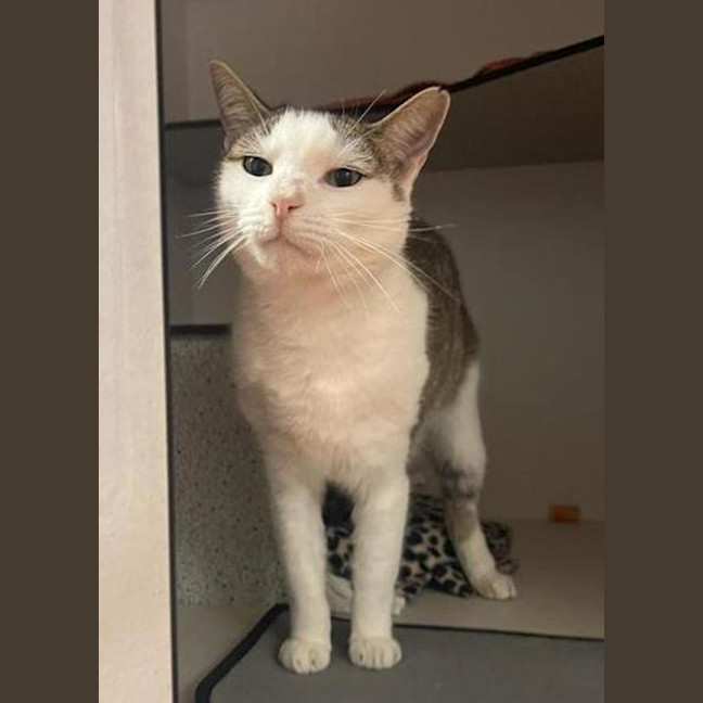 Photo of Mr Man