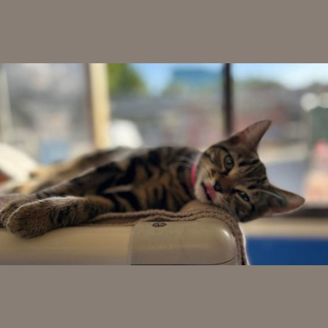 Photo of Lucy
