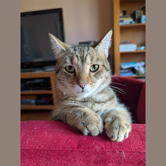 Photo of Marty