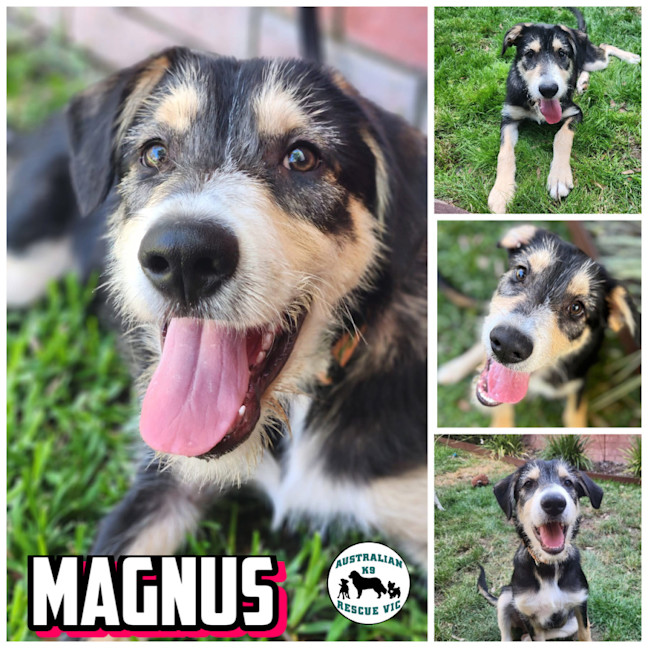 Photo of Magnus 