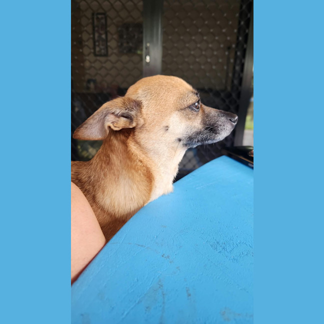 Photo of Gracie 