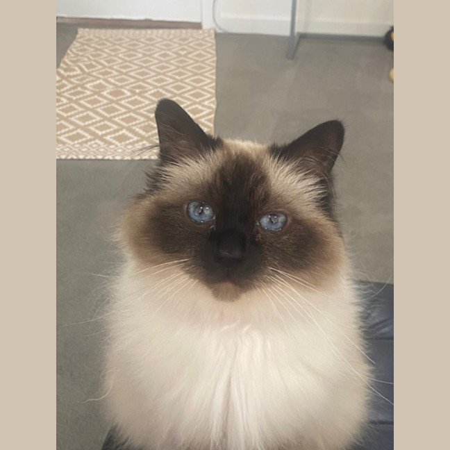 Photo of Princess Saffy