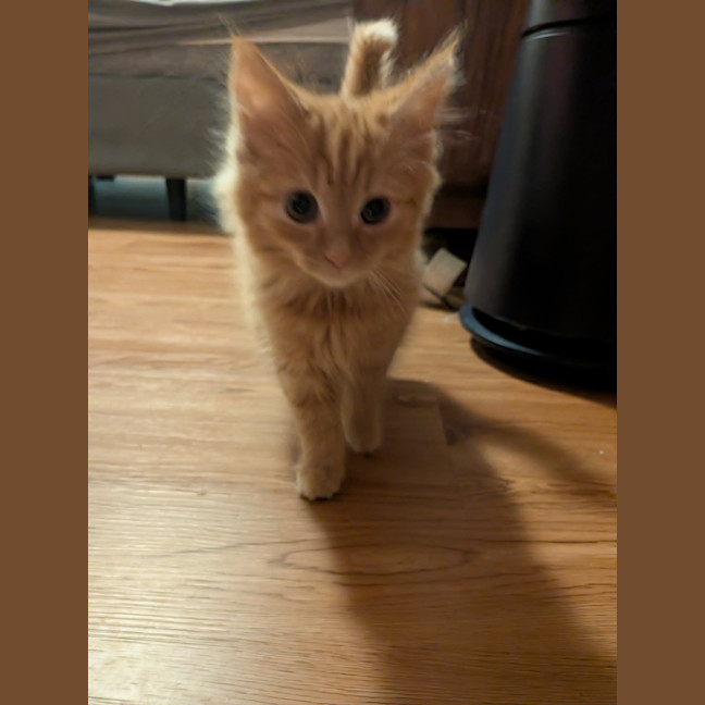Photo of Bert