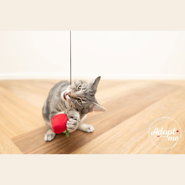 Photo of Jeremiah