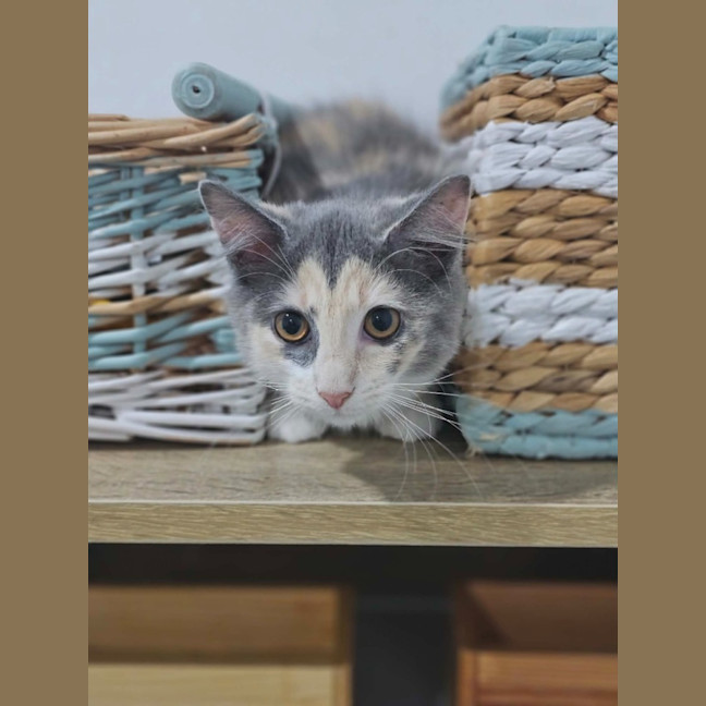 Photo of Audrey