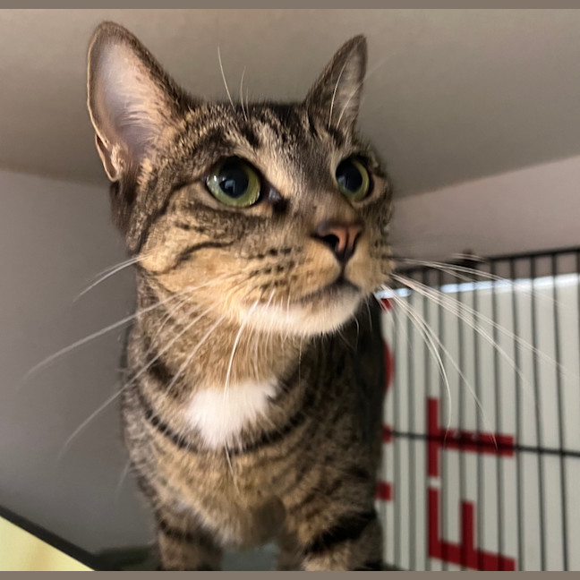 Photo of Mavis