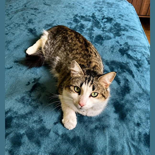 Photo of Feefee