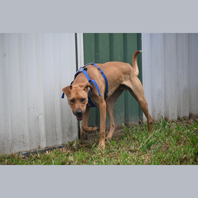 Photo of Max