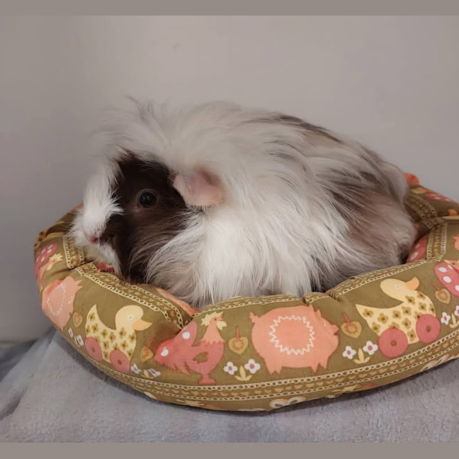 Photo of Jill