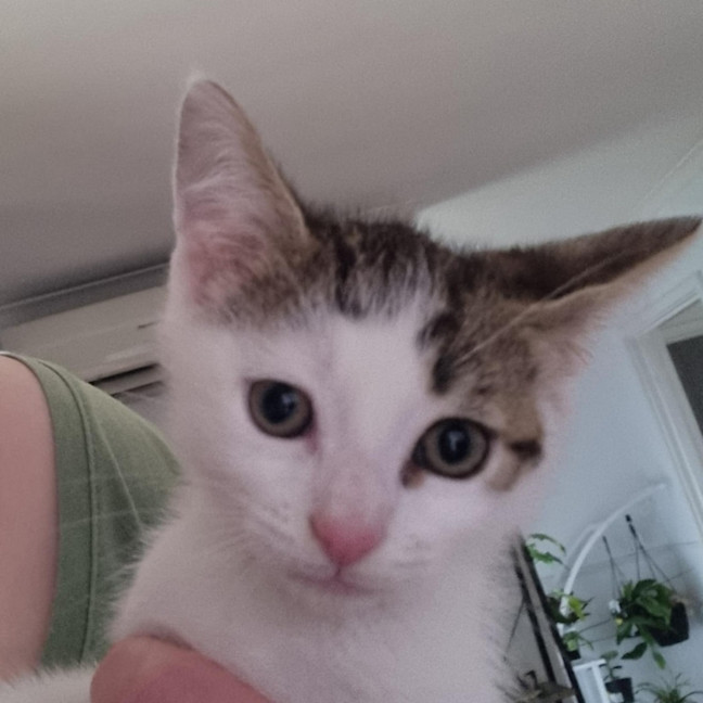 Photo of Astro