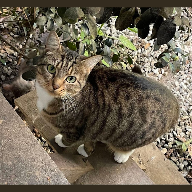 Photo of Bella 🌹🌹🌹