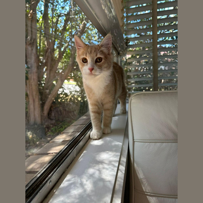 Photo of Fred & George