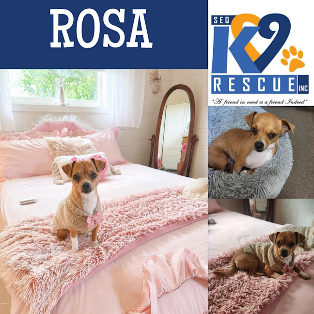 Photo of Rosa