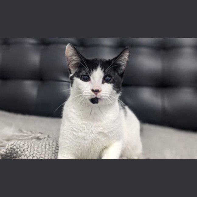 Photo of Bonnie 