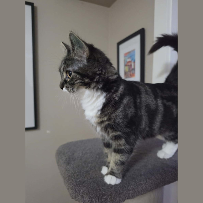 Photo of Tuxy