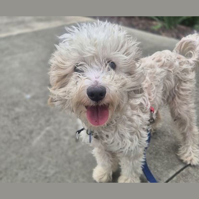 Photo of Maggie May