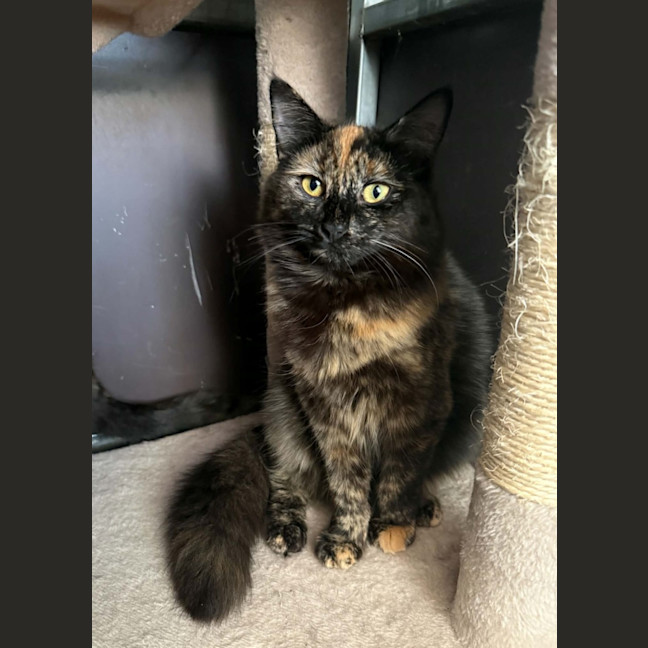 Photo of Lilith