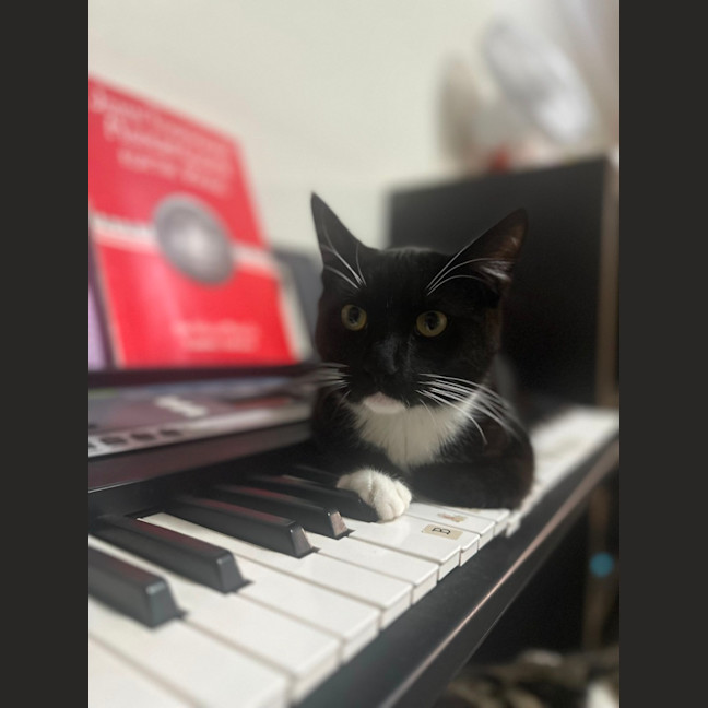 Photo of Bruce   Tuxedo