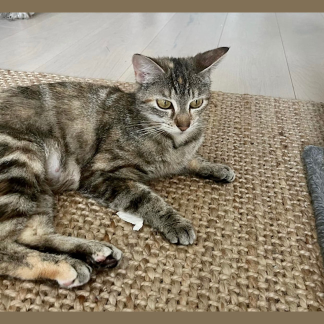 Photo of Mia 