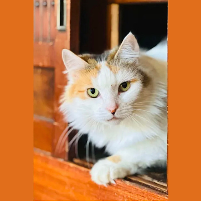 Photo of 💛Cassie💛