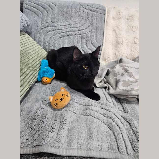 Photo of Patches
