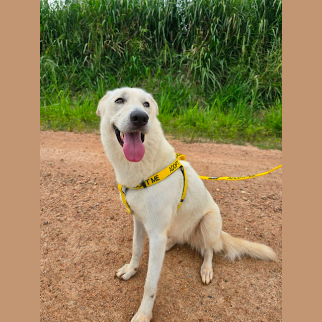 Photo of Freyja