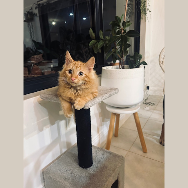 Photo of Leo