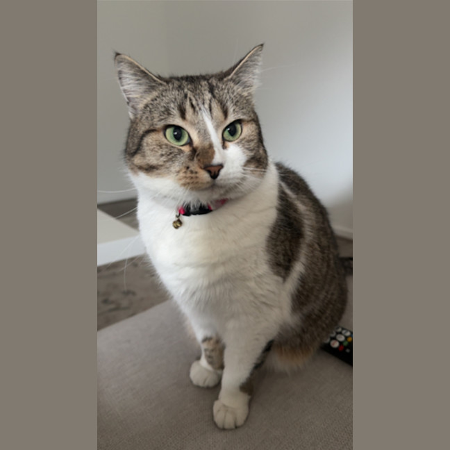Photo of Kiara