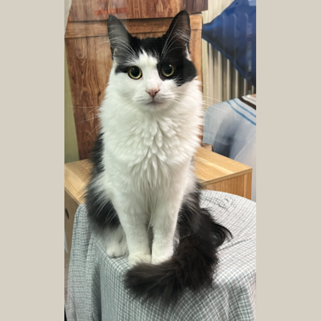 Photo of Ernie