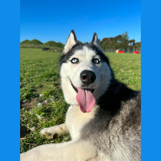Photo of Athena