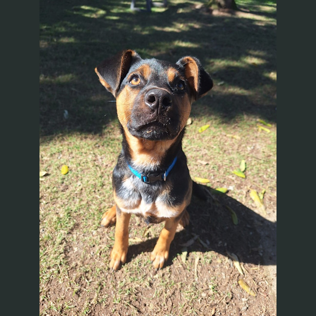 Photo of Nelly