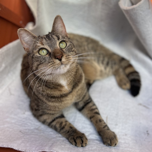 Photo of Tess