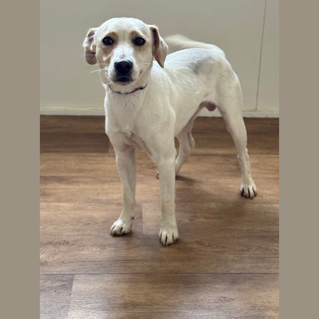 Photo of Cj (Captain Jack)