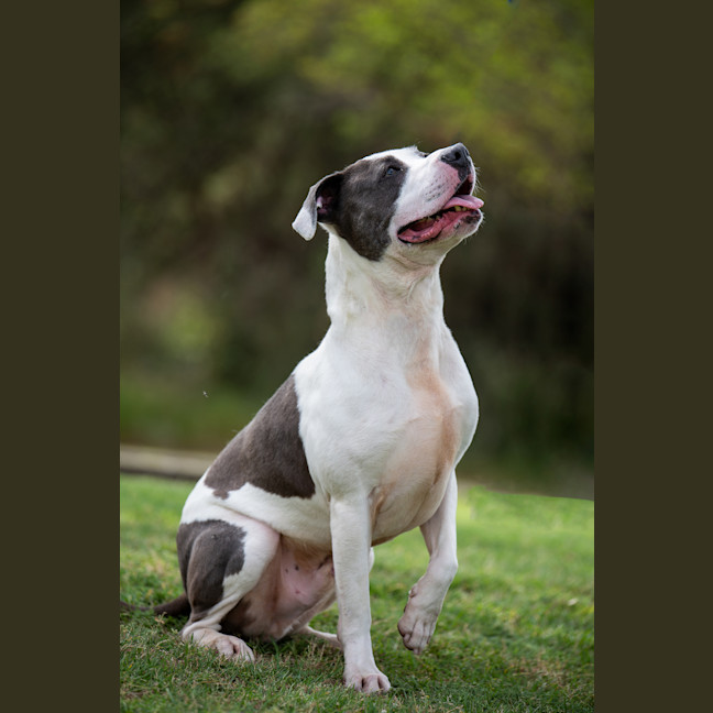 Photo of Zeus