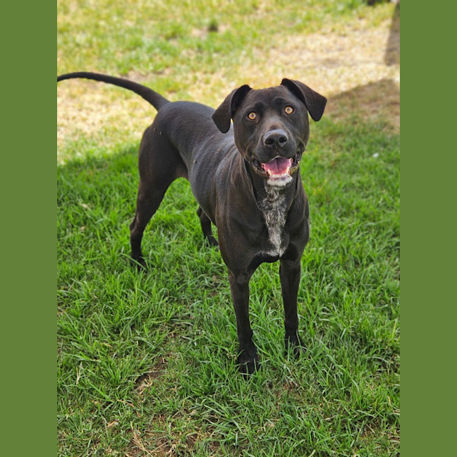 Photo of Phy (Phoebe Buffay)