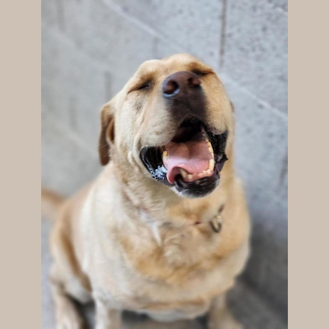 Photo of 🏆 Digga 6877 🏆