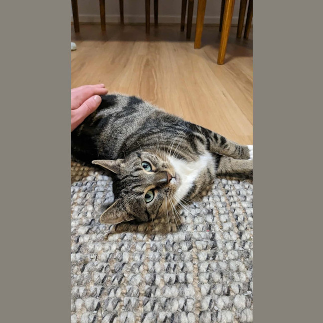 Photo of Oreo & Elisha 