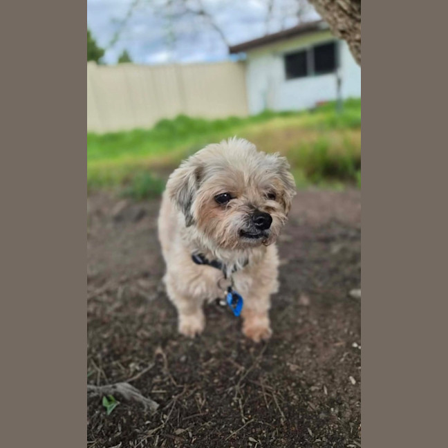 Photo of Darla