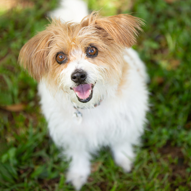 Photo of Heidi