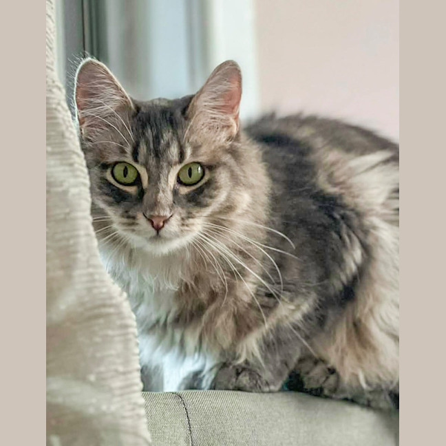 Photo of Fleur
