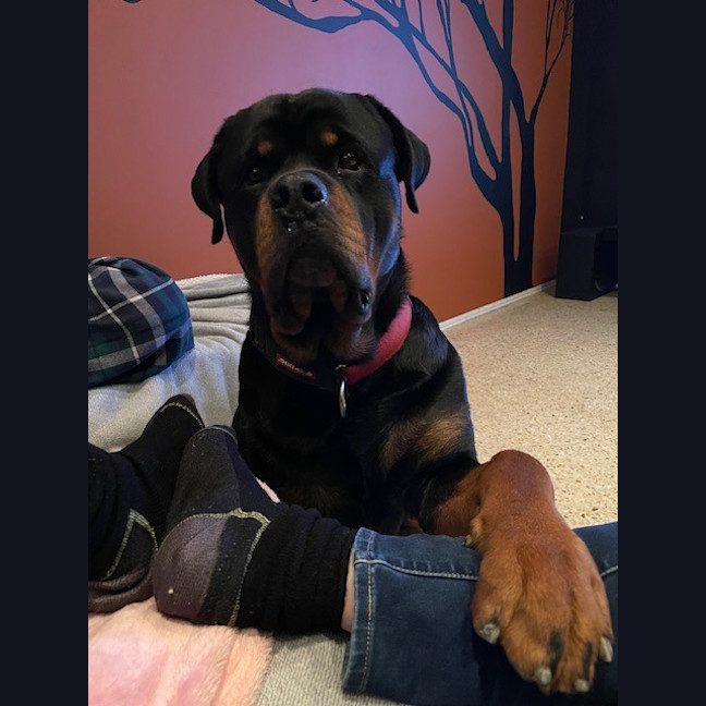Photo of Stanley