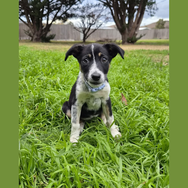 Photo of Beanie
