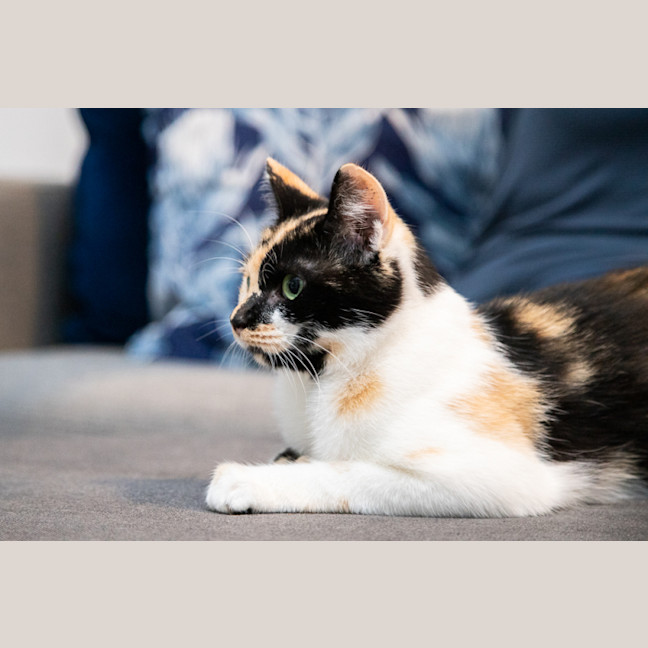 Photo of Molly