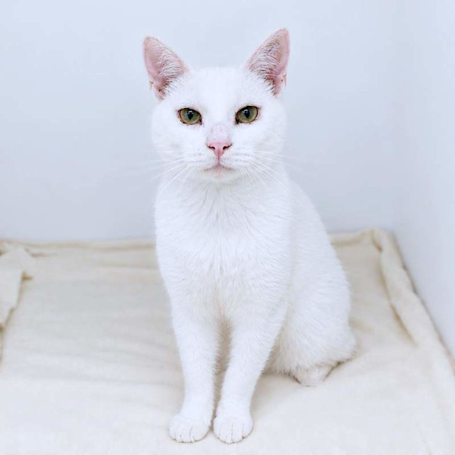 Photo of Mr Snow