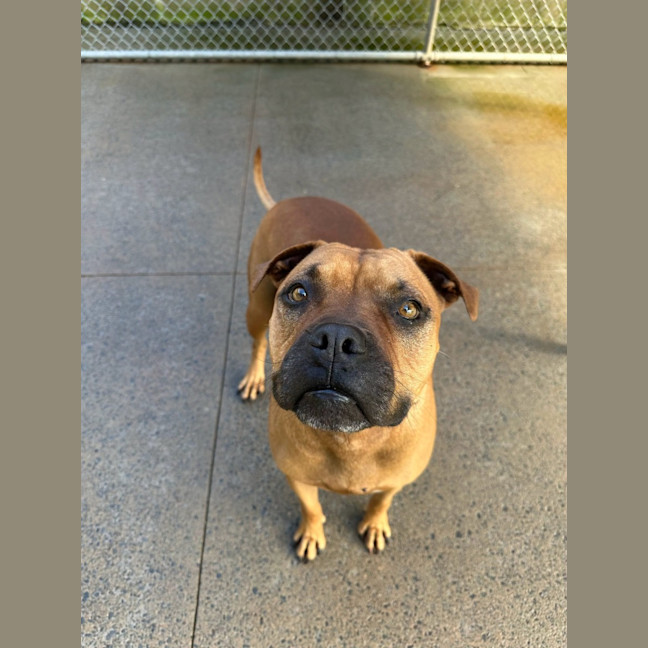 Photo of Daisy