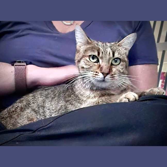 Photo of Mystie