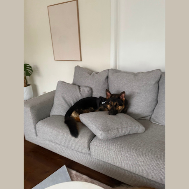 Photo of Za’atar