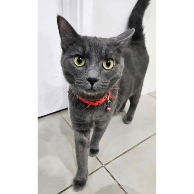 Photo of 12192   Mario