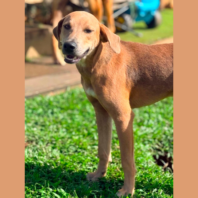 Photo of Archer