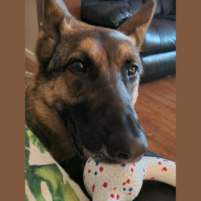 Photo of Mia